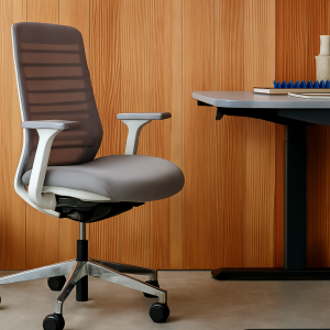 Branch Ergonomic Swivel Desk Chair