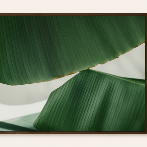 Leaf & Light 4 Framed Wall Art by Minted for West Elm